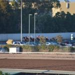 LosAl_Race_0069 (July 26, 2015)